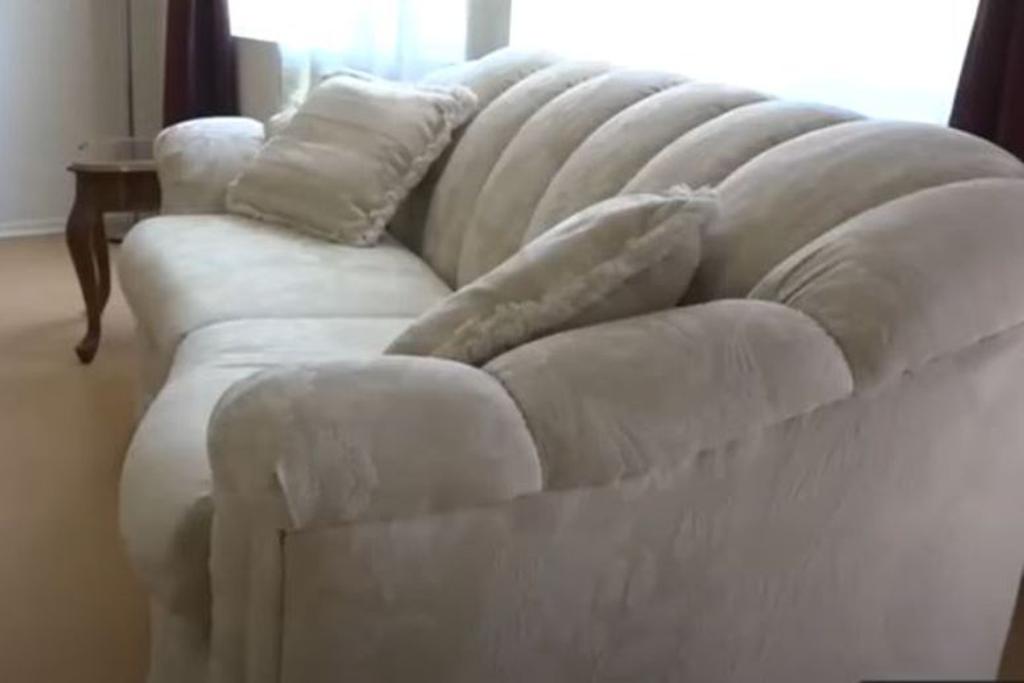 free couch craigslist viral