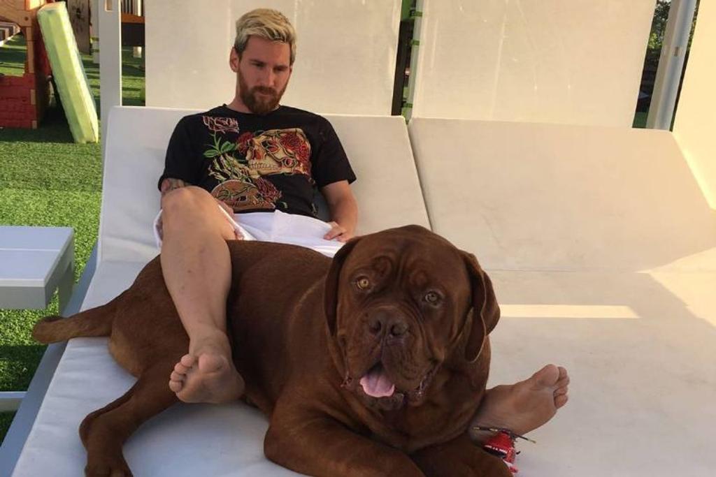 Leo Messi Dog Hulk