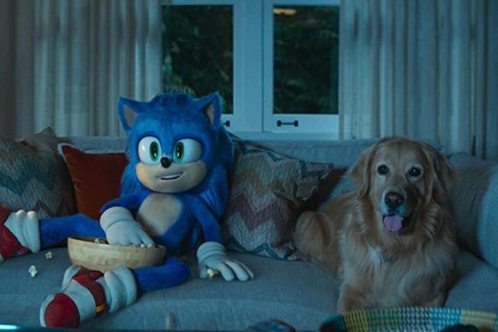 Sonic Video Game Movie Adaptation